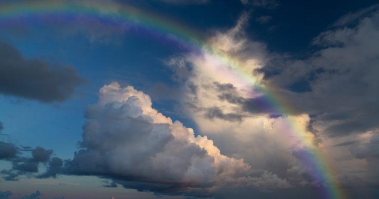 シングルマザーの涙