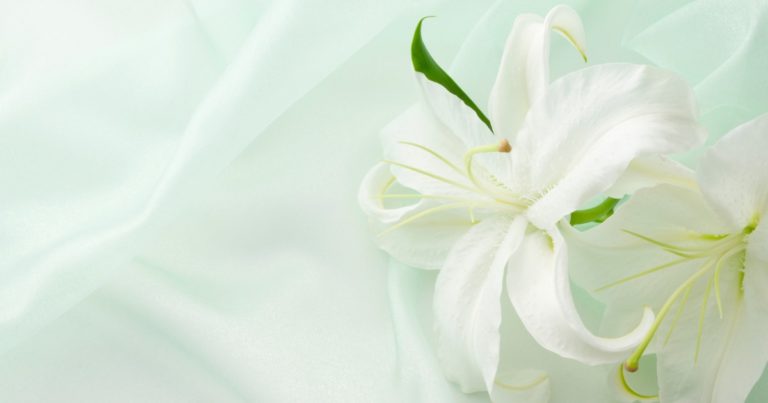 神の平安がありますように