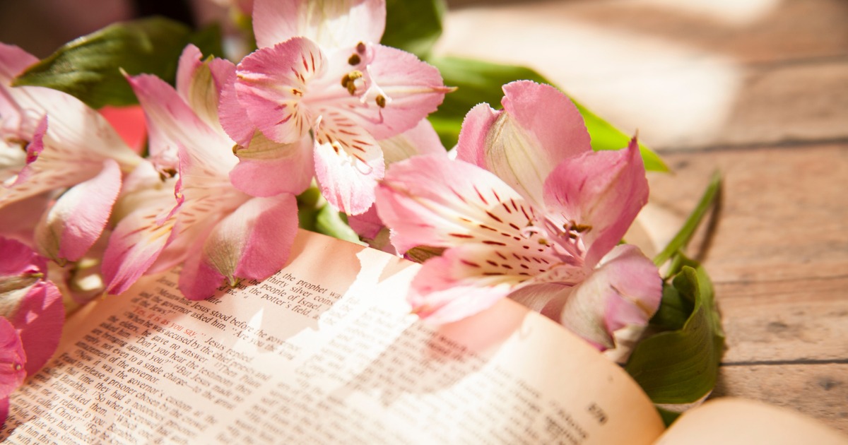 シングルマザーダウン