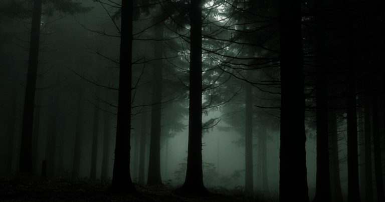 PTSD(心的外傷後ストレス障害)との戦い