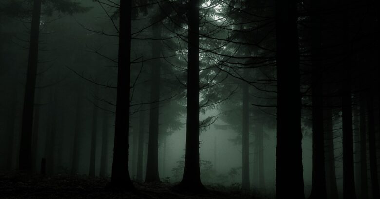 PTSD(心的外傷後ストレス障害)との戦い