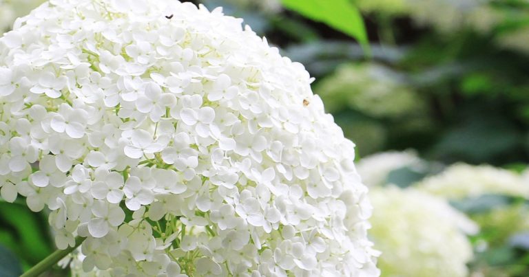 最後の夏休みに