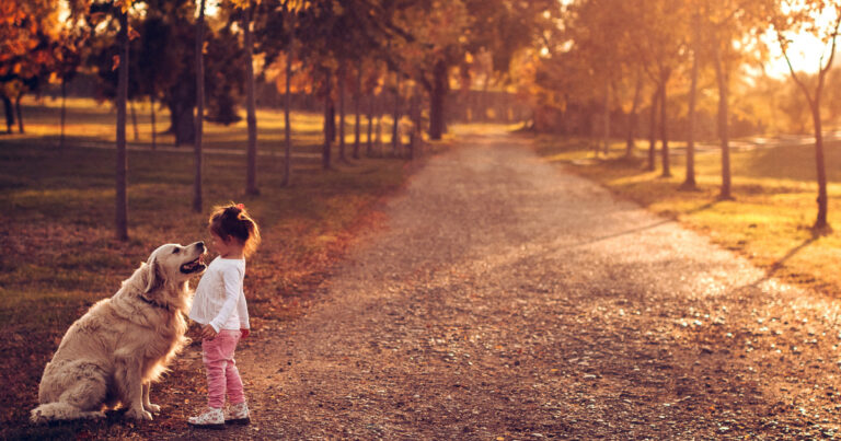 プライドなんていらない