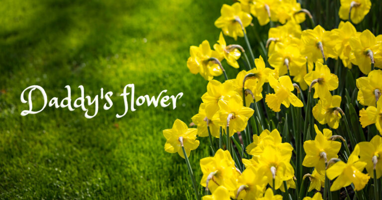 ダディの花